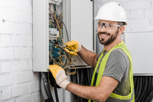 Best Electric Panel Repair  in Benson, NC